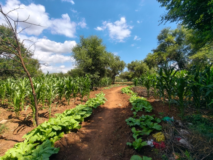 5 Bedroom Property for Sale in Rustenburg Rural North West